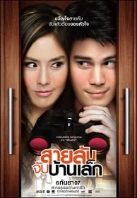 สายลับจับบ้านเล็ก The Bedside Detective 2007