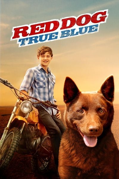 Red Dog True Blue (2016)